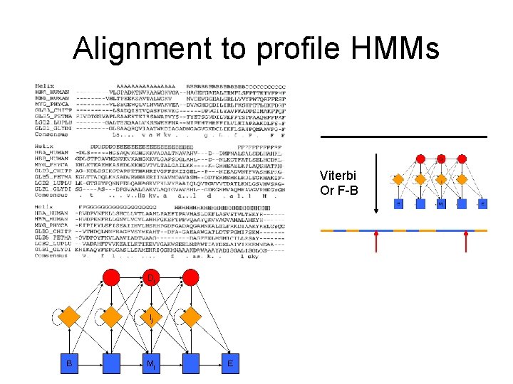 Alignment to profile HMMs Viterbi Or F-B 