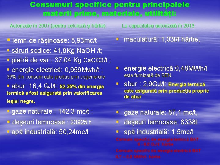 Consumuri specifice pentru principalele materii prime, materiale, utilități: Autorizate în 2007 (pentru celuloză și
