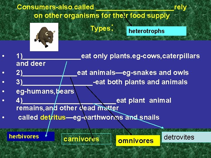 Consumers-also called __________rely on other organisms for their food supply Types • • •