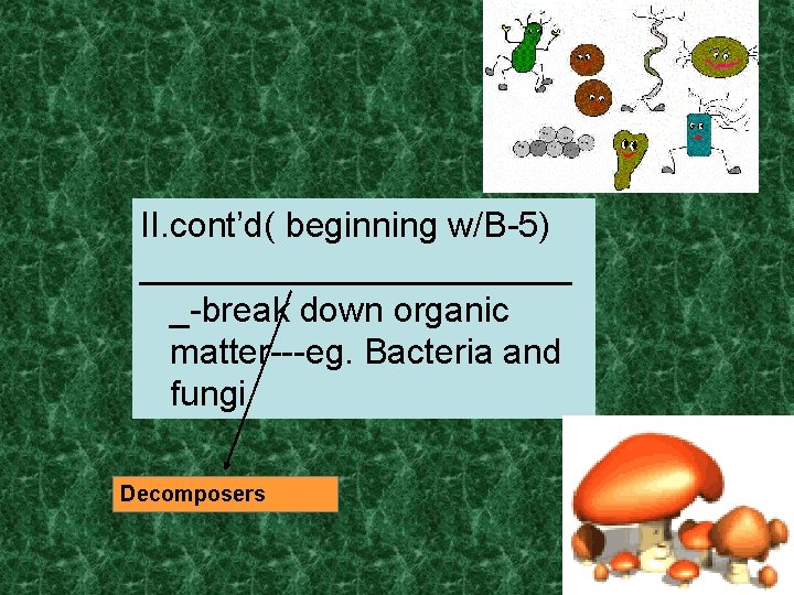 II. cont’d( beginning w/B-5) ___________ _-break down organic matter---eg. Bacteria and fungi Decomposers 