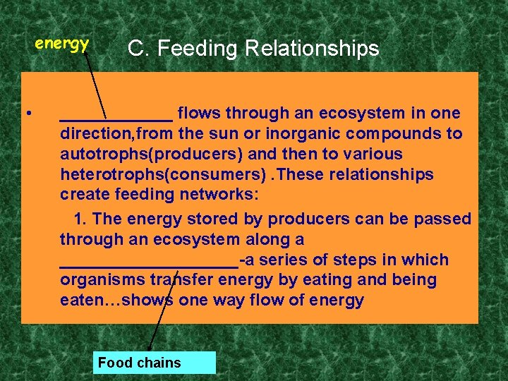 energy • C. Feeding Relationships ______ flows through an ecosystem in one direction, from