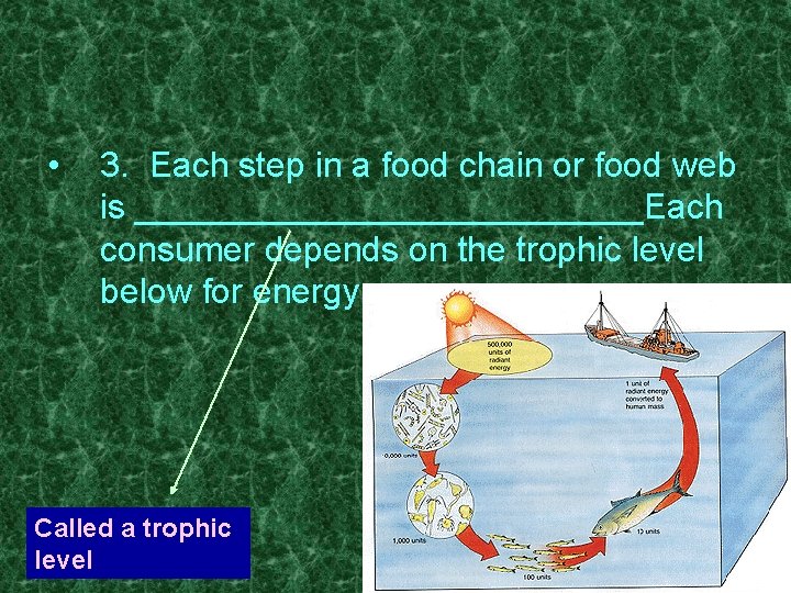  • 3. Each step in a food chain or food web is _____________Each