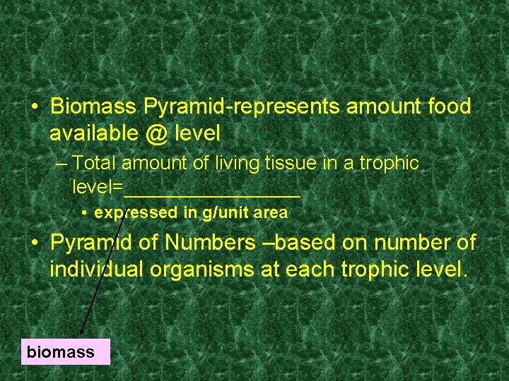  • Biomass Pyramid-represents amount food available @ level – Total amount of living