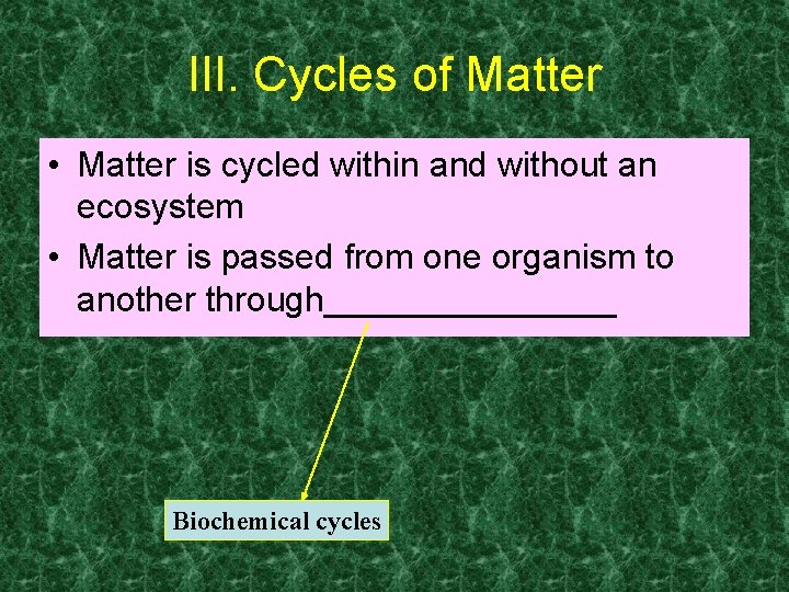 III. Cycles of Matter • Matter is cycled within and without an ecosystem •