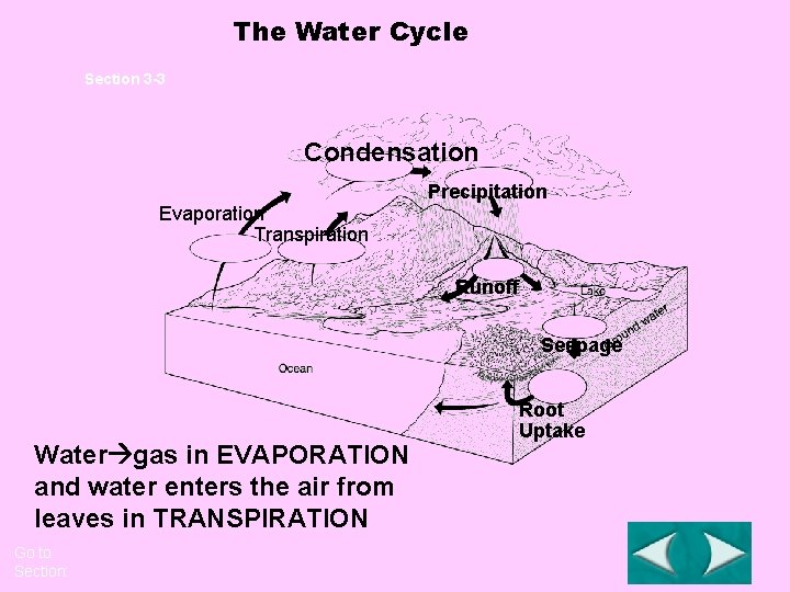 The Water Cycle Section 3 -3 Condensation Precipitation Evaporation Transpiration Runoff Seepage Water gas
