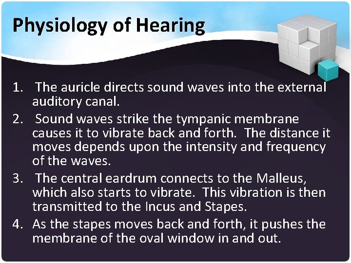 Physiology of Hearing 1. The auricle directs sound waves into the external auditory canal.
