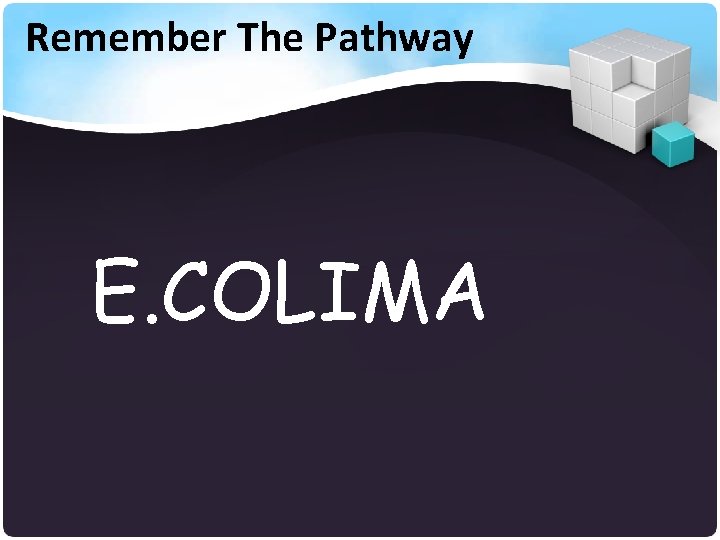 Remember The Pathway E. COLIMA 