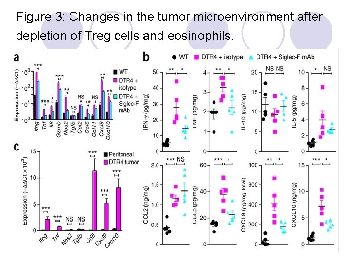 Figure 3: Changes in the tumor microenvironment after depletion of Treg cells and eosinophils.