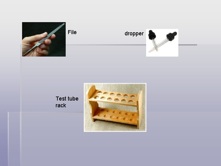 File Test tube rack dropper 