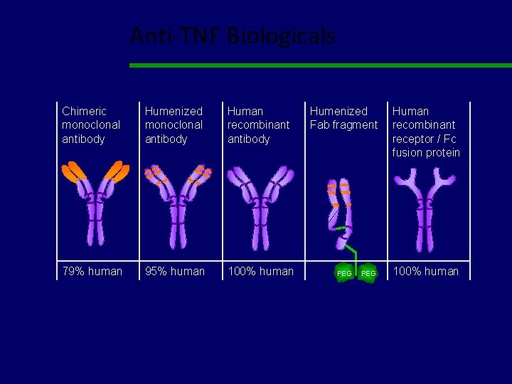 Anti-TNF Biologicals Chimeric monoclonal antibody Humenized monoclonal antibody Human recombinant antibody 79% human 95%