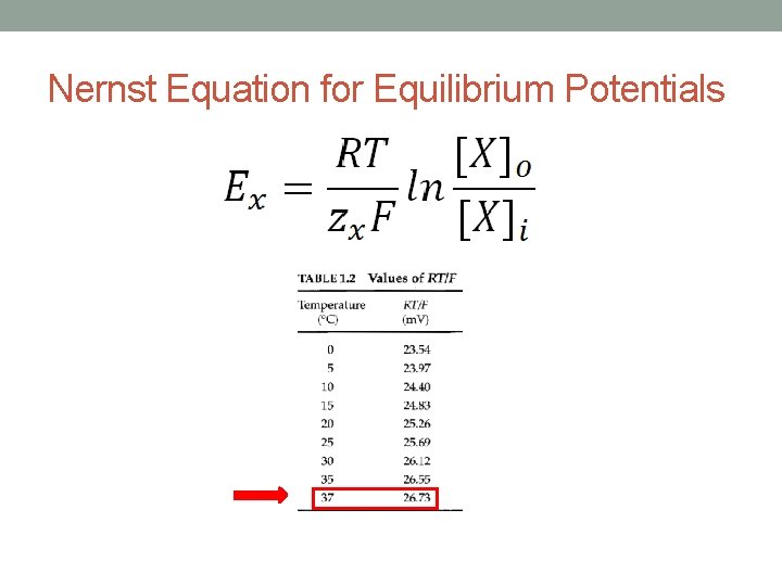 Nernst Equation for Equilibrium Potentials 