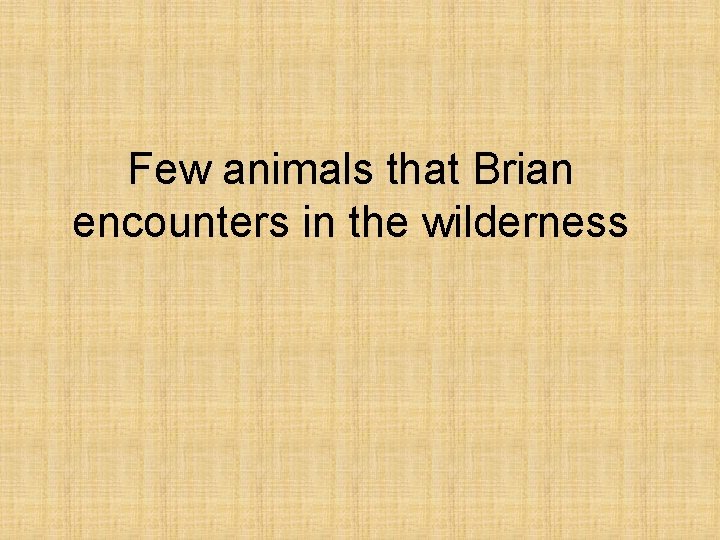 Few animals that Brian encounters in the wilderness 