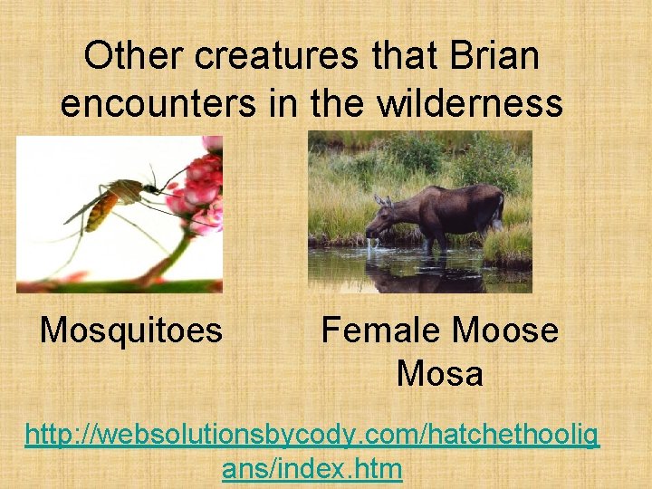Other creatures that Brian encounters in the wilderness Mosquitoes Female Moose Mosa http: //websolutionsbycody.