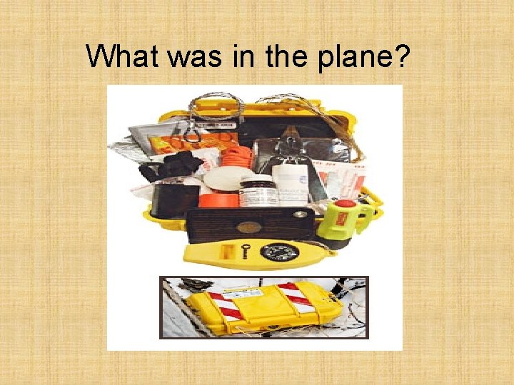 What was in the plane? 