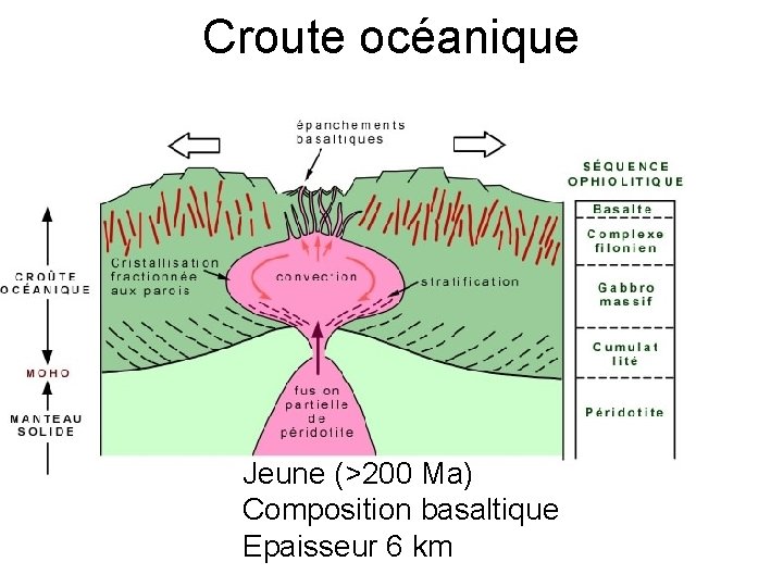 Croute océanique Jeune (>200 Ma) Composition basaltique Epaisseur 6 km 