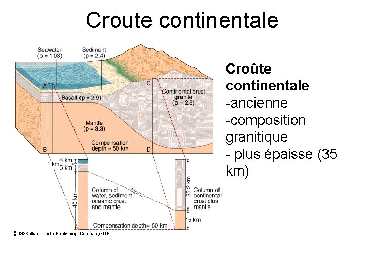 Croute continentale Croûte continentale -ancienne -composition granitique - plus épaisse (35 km) 