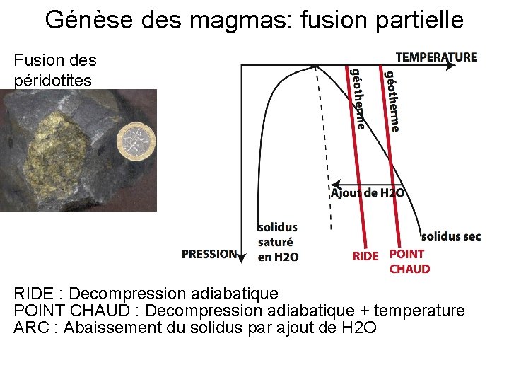 Génèse des magmas: fusion partielle Fusion des péridotites RIDE : Decompression adiabatique POINT CHAUD