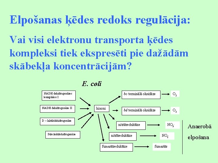 Elpošanas ķēdes redoks regulācija: Vai visi elektronu transporta ķēdes kompleksi tiek ekspresēti pie dažādām