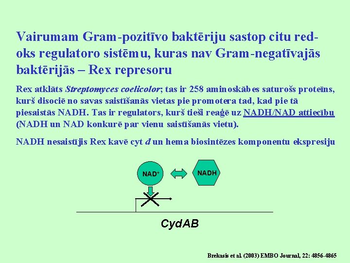 Vairumam Gram-pozitīvo baktēriju sastop citu redoks regulatoro sistēmu, kuras nav Gram-negatīvajās baktērijās – Rex