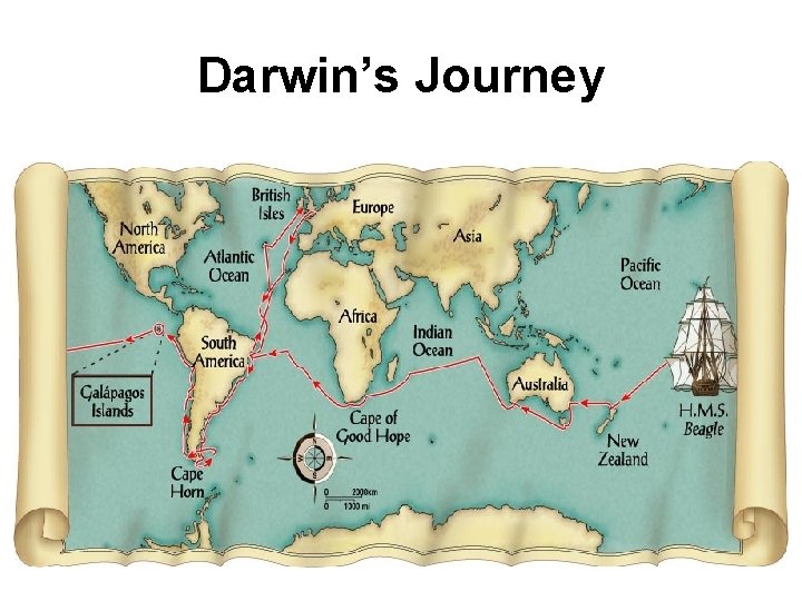 Darwin’s Journey 
