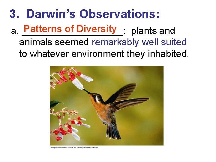 3. Darwin’s Observations: Patterns of Diversity plants and a. __________: animals seemed remarkably well