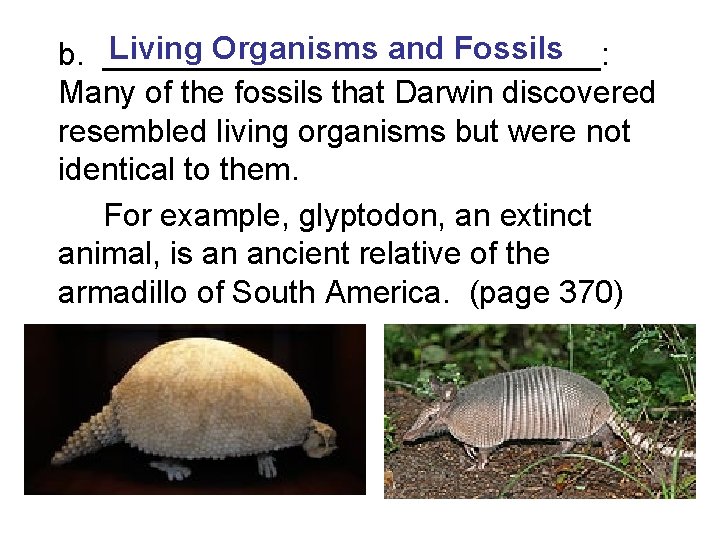 Living Organisms and Fossils b. ______________: Many of the fossils that Darwin discovered resembled