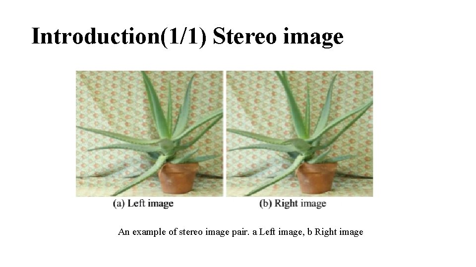 Introduction(1/1) Stereo image An example of stereo image pair. a Left image, b Right