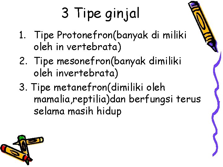 3 Tipe ginjal 1. Tipe Protonefron(banyak di miliki oleh in vertebrata) 2. Tipe mesonefron(banyak