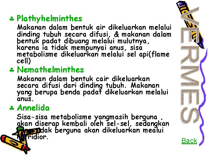 § Plathyhelminthes Makanan dalam bentuk air dikeluarkan melalui dinding tubuh secara difusi, & makanan