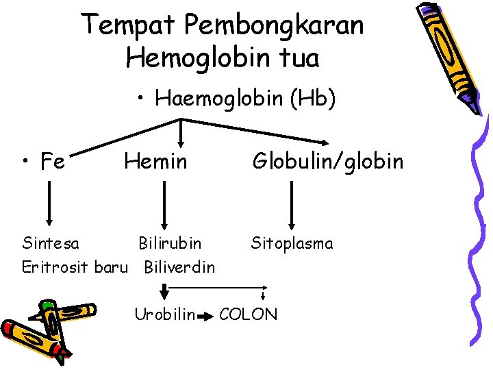 Tempat Pembongkaran Hemoglobin tua • Haemoglobin (Hb) • Fe Hemin Sintesa Bilirubin Eritrosit baru