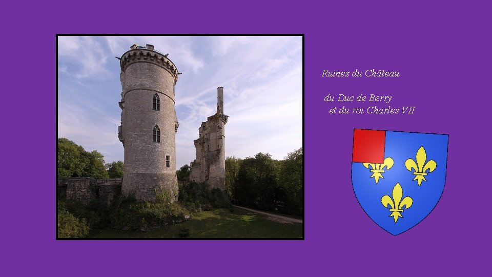 Ruines du Château du Duc de Berry et du roi Charles VII 