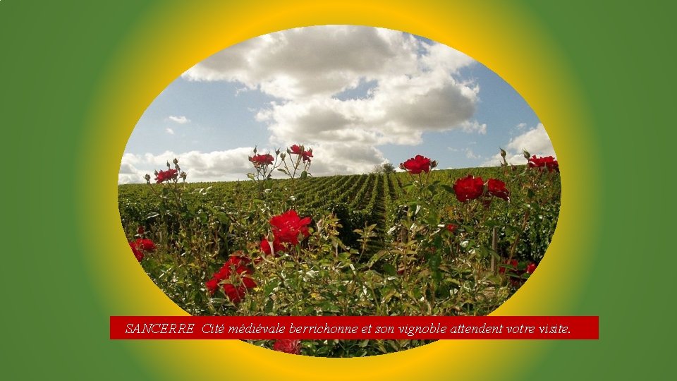 SANCERRE Cité médiévale berrichonne et son vignoble attendent votre visite. 