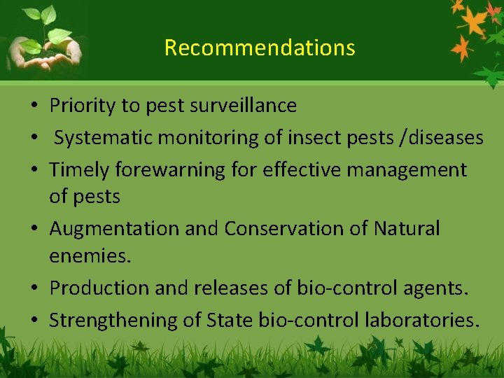 Recommendations • Priority to pest surveillance • Systematic monitoring of insect pests /diseases •