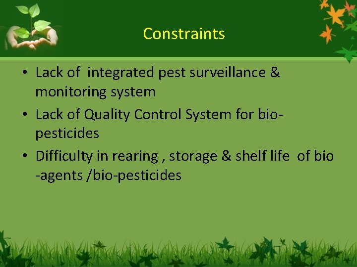 Constraints • Lack of integrated pest surveillance & monitoring system • Lack of Quality