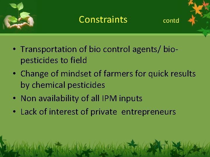 Constraints contd • Transportation of bio control agents/ biopesticides to field • Change of