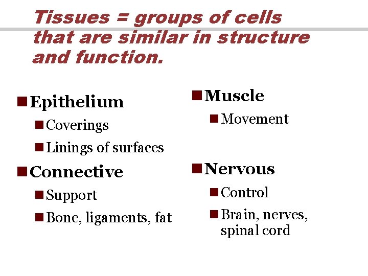 Tissues = groups of cells that are similar in structure and function. n Epithelium