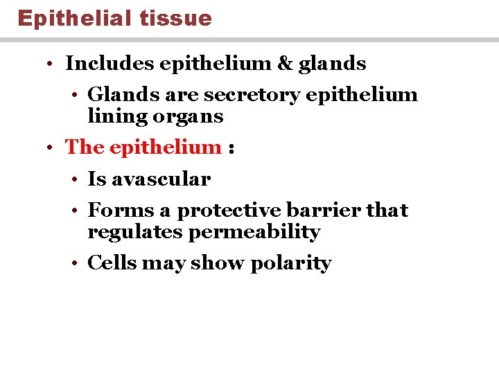 Epithelial tissue • Includes epithelium & glands • Glands are secretory epithelium lining organs