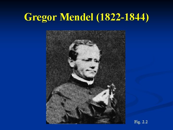 Gregor Mendel (1822 -1844) Fig. 2. 2 