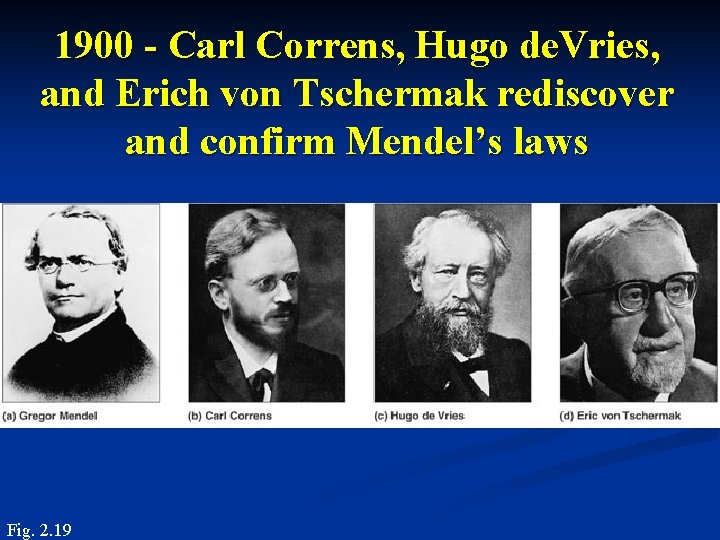 1900 - Carl Correns, Hugo de. Vries, and Erich von Tschermak rediscover and confirm