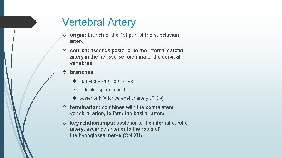 Vertebral Artery origin: branch of the 1 st part of the subclavian artery course: