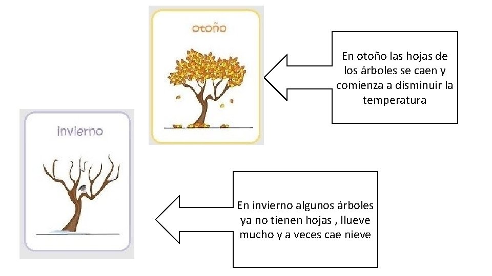 En otoño las hojas de los árboles se caen y comienza a disminuir la