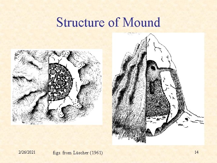Structure of Mound 2/26/2021 figs. from Lüscher (1961) 14 