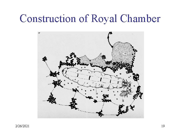Construction of Royal Chamber 2/26/2021 19 