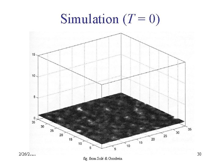 Simulation (T = 0) 2/26/2021 fig. from Solé & Goodwin 30 
