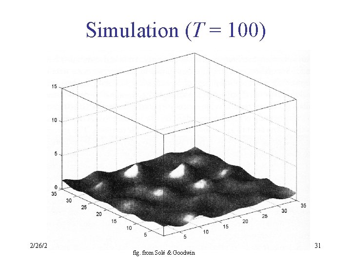 Simulation (T = 100) 2/26/2021 fig. from Solé & Goodwin 31 