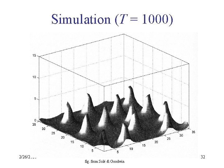 Simulation (T = 1000) 2/26/2021 fig. from Solé & Goodwin 32 