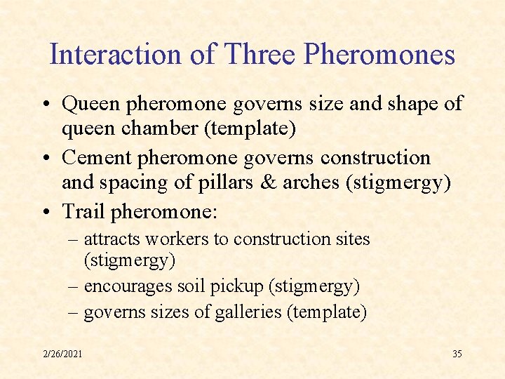 Interaction of Three Pheromones • Queen pheromone governs size and shape of queen chamber