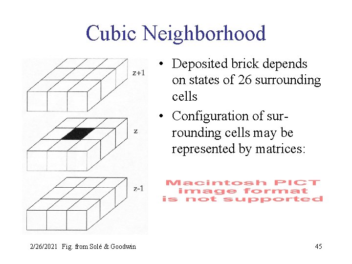 Cubic Neighborhood • Deposited brick depends on states of 26 surrounding cells • Configuration