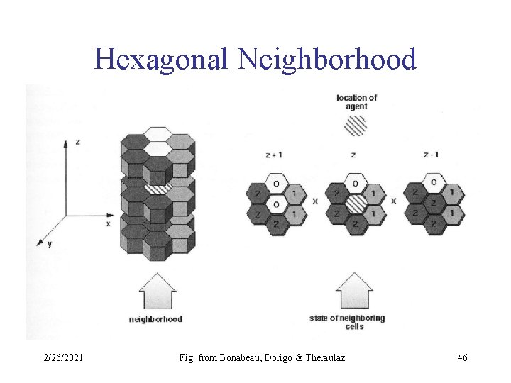 Hexagonal Neighborhood 2/26/2021 Fig. from Bonabeau, Dorigo & Theraulaz 46 