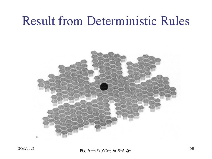 Result from Deterministic Rules 2/26/2021 Fig. from Self-Org. in Biol. Sys. 50 